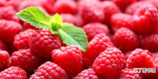 树莓和覆盆子的区别介绍 覆盆子和树莓是一样的吗