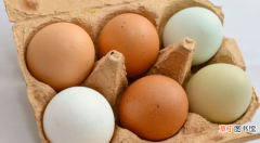 棕色鸡蛋和白色鸡蛋的区别 白鸡蛋是什么鸡蛋啊