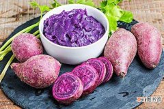 紫薯发芽了还能吃吗 紫薯发芽了怎么种盆栽