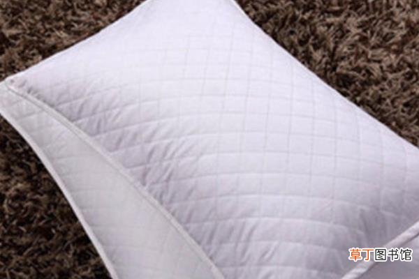 柏树籽壳怎么做枕头 装枕头用柏树籽还是壳
