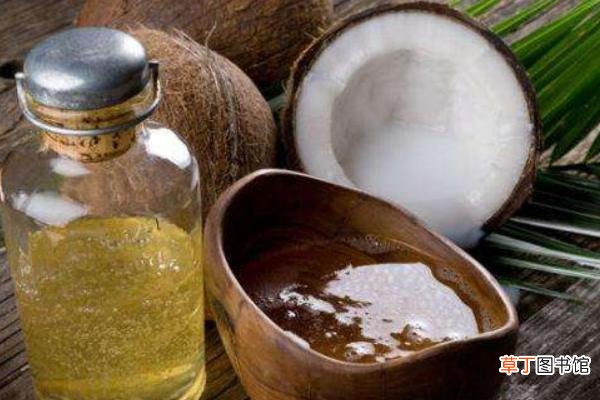 椰子油怎么用 椰子油护发的正确方法