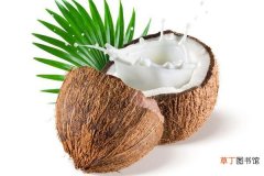 老椰子和青椰子的区别是什么 椰子和椰青哪个好喝