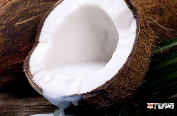 老椰子和青椰子的区别是什么 椰子和椰青哪个好喝