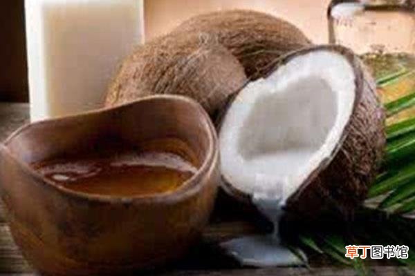 椰子油和橄榄油哪个好 椰子油怎么保存
