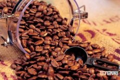哪里的咖啡豆最好 咖啡里可以加什么
