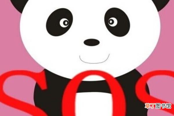 熊猫血型是什么血型 熊猫血的人聪明吗