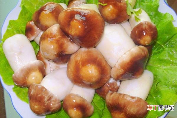 大球盖菇怎么做好吃又简单 大球盖菇家常做法