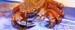 红毛蟹和帝王蟹哪个贵？红毛蟹和帝王蟹的区别