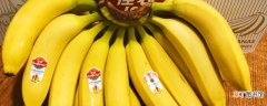 佳农香蕉为什么贵，与普通香蕉有什么不同，市场价格多少钱一