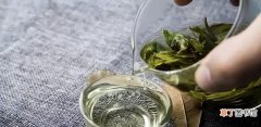 泡绿茶的三投法分享 泡绿茶的正确方式是什么