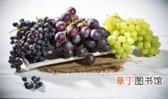 葡萄是怎样传播种子的 葡萄是怎么传播种子的