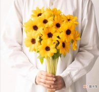 资深花店买家养护经验分享 向日葵怎么醒花比较好