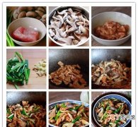 美味平菇的4种烹饪方法 家常菜平菇怎么样炒好吃