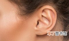 ear耳朵英语怎么读 ear耳朵英语的读音