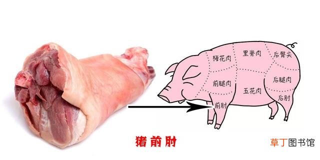 关于猪肉各部位图解与介绍 老母猪肉和普通猪肉的区别是什么