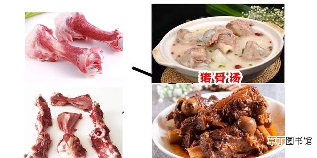 关于猪肉各部位图解与介绍 老母猪肉和普通猪肉的区别是什么