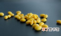 大豆什么季节成熟收割 中国大豆收割季节