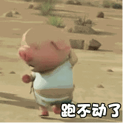 小猪跑步动态图_抖音小猪跑步表情包大全