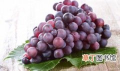 几月是新疆葡萄成熟的旺季 新疆葡萄在什么季节成熟