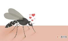家庭驱蚊的5个小妙招 怎么样驱蚊子最有效