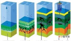 石油的形成及资源解读 石油是可再生资源吗