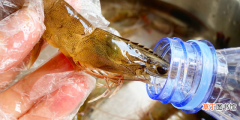 鲜虾的最佳保存方法 河虾怎么保存才保持新鲜