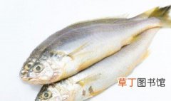 虾虎鱼的吃法技巧教程 虾虎鱼的吃法介绍