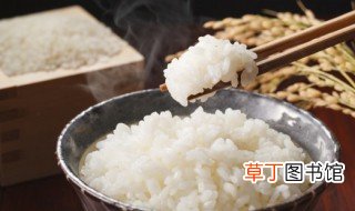 煮米饭有什么技巧 煮米饭的技巧