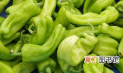 大青椒怎么做好吃 青椒炒肉丁的做法