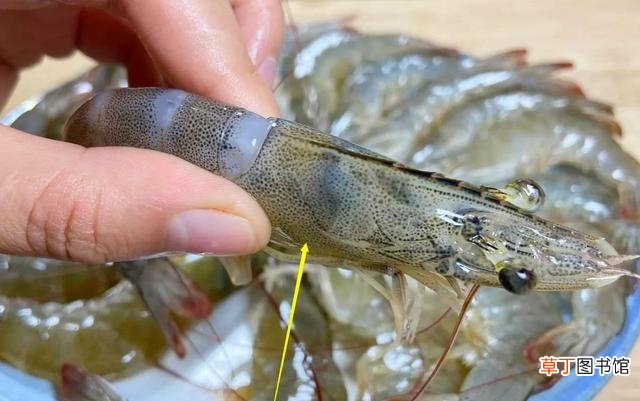 分享正确保存海虾的方法 怎么处理虾线才能干净