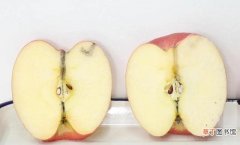 苹果切开不变色什么原因 苹果切开一天也没变色是买到转基因了