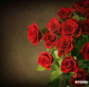 送22朵玫瑰花语是什么？33朵玫瑰花的含义有哪些