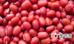 红豆几种怎么区分 红豆几种如何区分