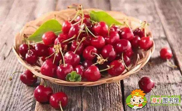 中国樱桃品种排名，中国本土樱桃品种那种最好