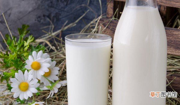 脱脂牛奶和全脂牛奶哪个有营养