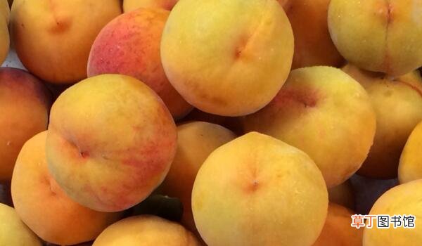 黄桃与桃子有什么区别，外观和成熟时间不同