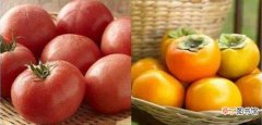 柿子和西红柿有什么区别，柿子和西红柿怎么分辨