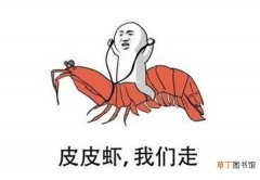 皮皮虾是不是虾，皮皮虾虽是网红但不是虾