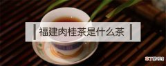福建肉桂茶是什么茶