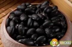 黑芸豆是黑豆吗，黑芸豆和黑豆的区别