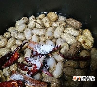 煮花生简单美味的做法教程 水煮带壳花生怎么煮好吃又入味