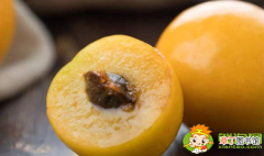 杏子的壳可以吃吗，杏子壳吃到肚子里怎么办