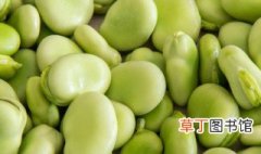 茴香蚕豆的做法大全 茴香蚕豆的做法有哪些