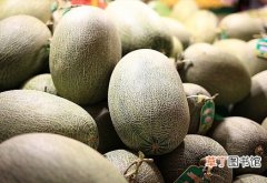 哈密瓜是什么季节的水果，有哪些品种