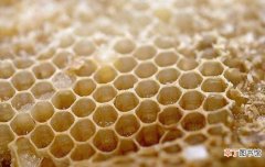 蜂巢泡酒的功效与作用，蜂巢的药用价值