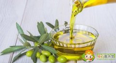 特级初榨橄榄油怎么吃，橄榄油怎么吃比较合适