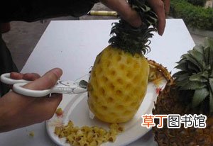 菠萝怎么种植 菠萝的室内种植方法