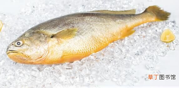 黄鱼多少钱一斤，不同品种的黄鱼价格都不等