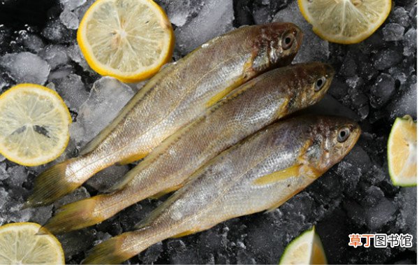 黄鱼多少钱一斤，不同品种的黄鱼价格都不等