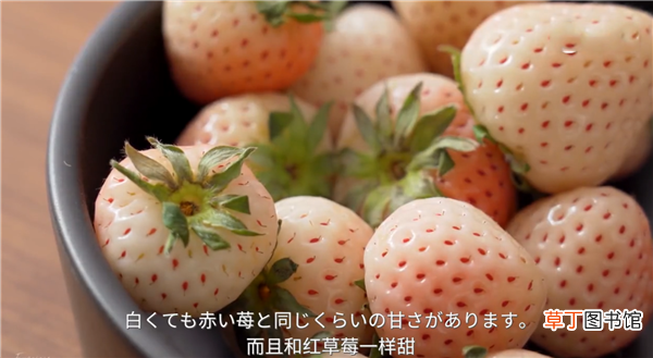菠萝莓好吃吗 菠萝莓又香又甜还有柑橘清香